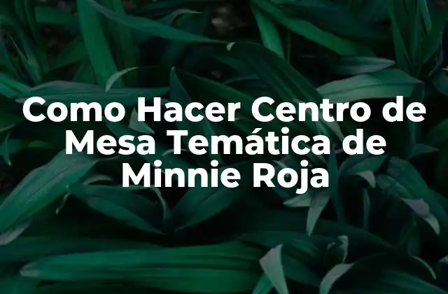 Como Hacer Centro de Mesa Temática de Minnie Roja