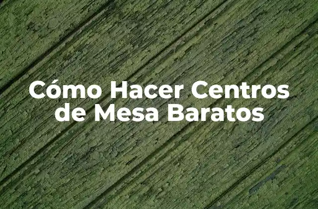 Cómo Hacer Centros de Mesa Baratos