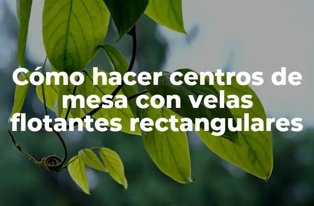 Cómo Hacer Centros de Mesa con Velas Flotantes Rectangulares