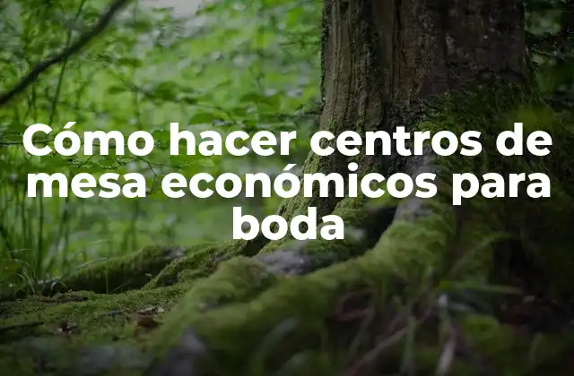 Cómo Hacer Centros de Mesa Económicos para Boda 2 Centros de mesa económicos para boda