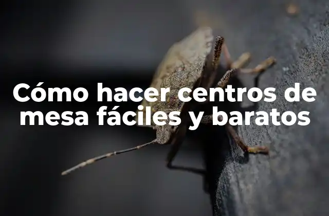 Cómo Hacer Centros de Mesa Fáciles y Baratos