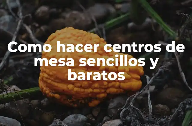 Como Hacer Centros de Mesa Sencillos y Baratos