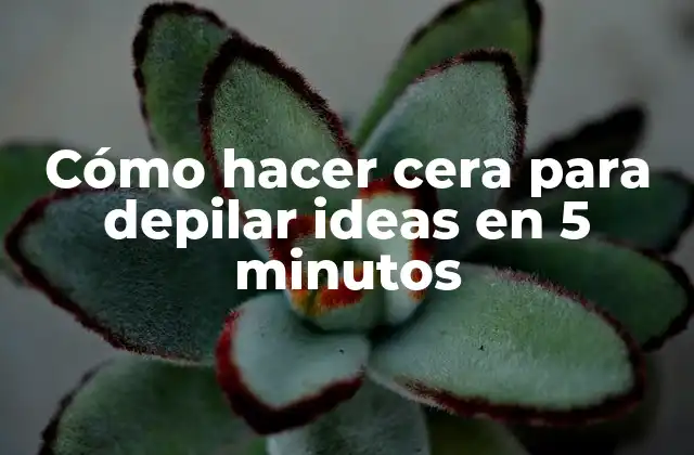 Cómo Hacer Cera para Depilar Ideas en 5 Minutos