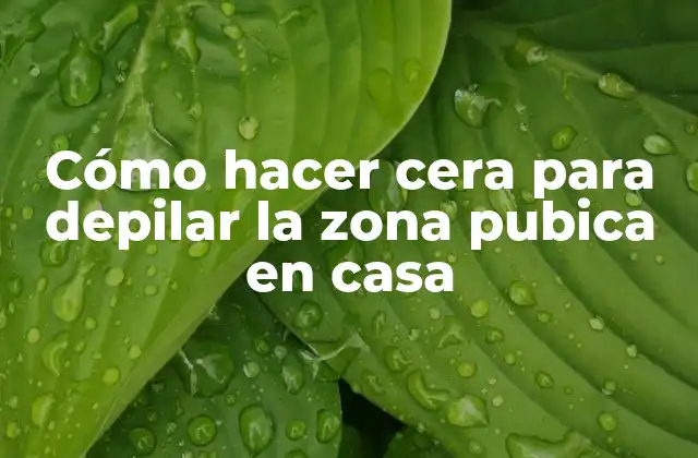 Cómo Hacer Cera para Depilar la Zona Pubica en Casa