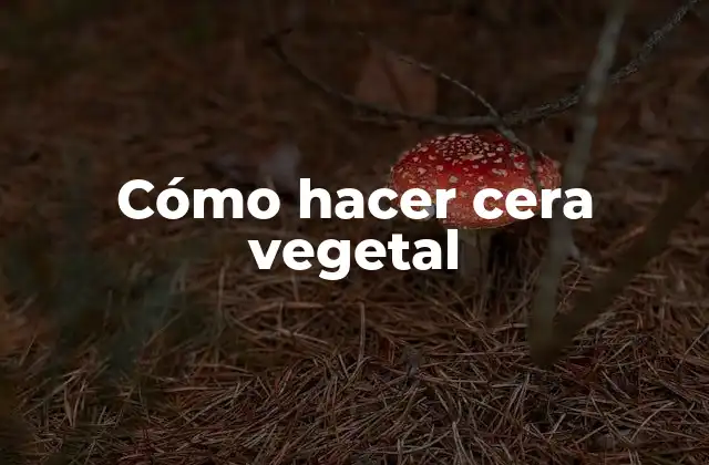 Cómo Hacer Cera Vegetal