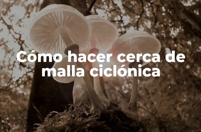 Cómo Hacer Cerca de Malla Ciclónica