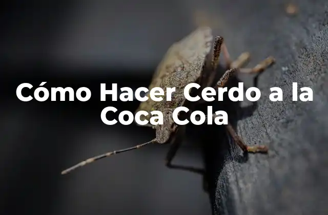 ¿Qué es el Cerdo a la Coca Cola?
