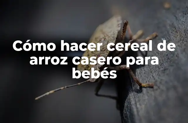Cómo Hacer Cereal de Arroz Casero para Bebés