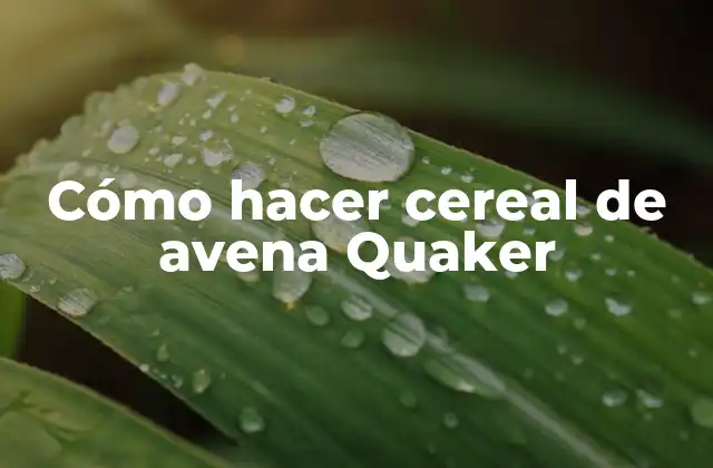 Cómo Hacer Cereal de Avena Quaker