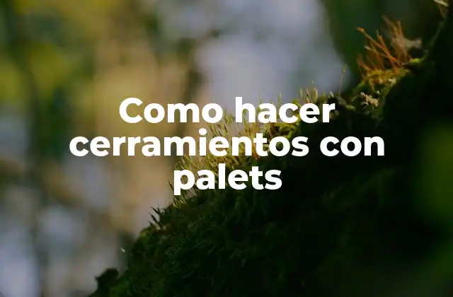 Como Hacer Cerramientos con Palets 2 Cerramientos con palets: qué son y para qué sirven