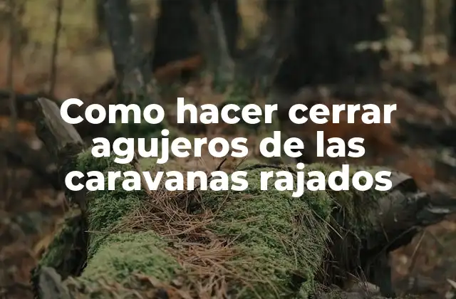 Como Hacer Cerrar Agujeros de las Caravanas Rajados