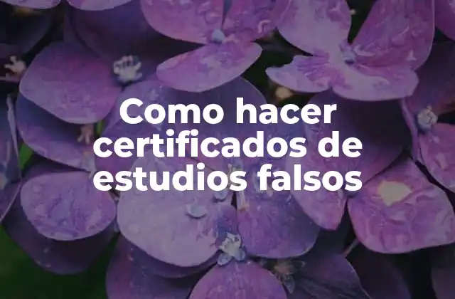 Como Hacer Certificados de Estudios Falsos