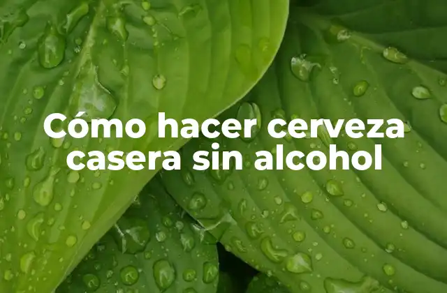 Cómo Hacer Cerveza Casera sin Alcohol