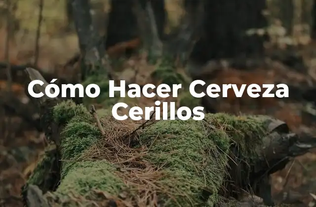Cómo Hacer Cerveza Cerillos