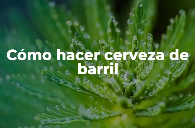 ¿Qué es la cerveza de barril y cómo se hace?
