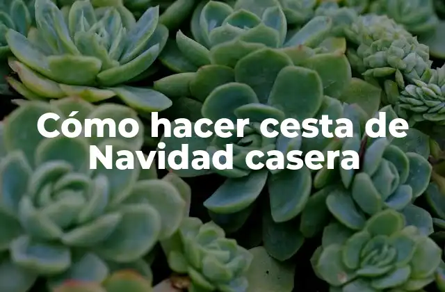 Cómo Hacer Cesta de Navidad Casera