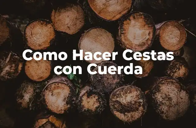 Cómo Hacer Cestas con Cuerda