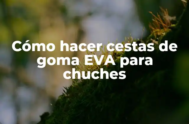 Cómo Hacer Cestas de Goma Eva para Chuches
