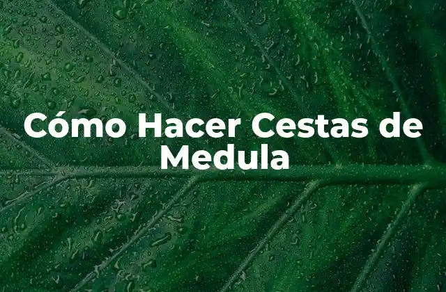 Cómo Hacer Cestas de Medula