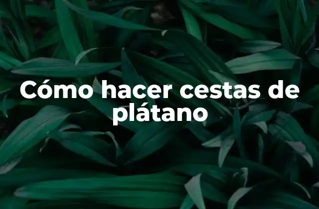 Cómo Hacer Cestas de Plátano