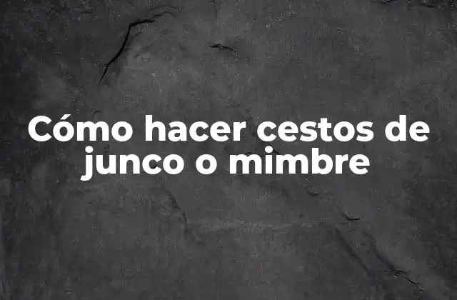 Cómo Hacer Cestos de Junco o Mimbre