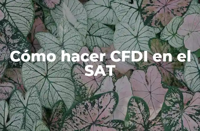 CFDI en el SAT