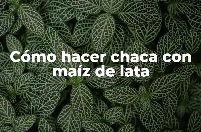 Cómo Hacer Chaca con Maíz de Lata