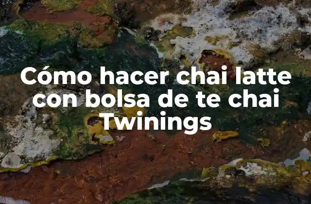 Cómo Hacer Chai Latte con Bolsa de Te Chai Twinings 2 Chai Latte con bolsa de te chai Twinings
