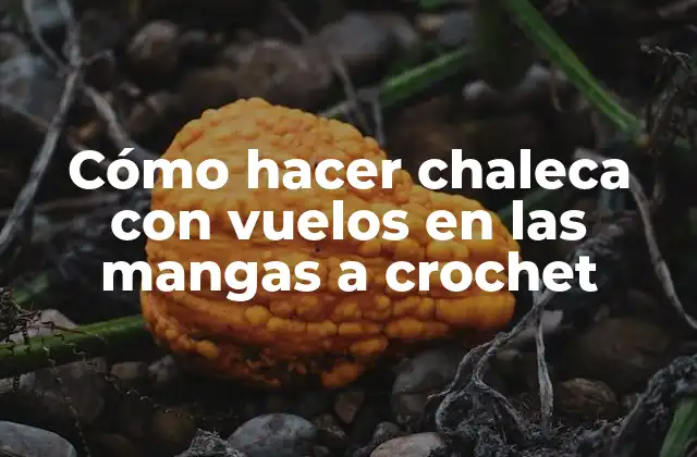 Cómo Hacer Chaleca con Vuelos en las Mangas a Crochet