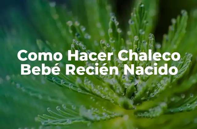 Como Hacer Chaleco Bebé Recién Nacido 2 ¿Qué es un Chaleco para Bebé Recién Nacido?