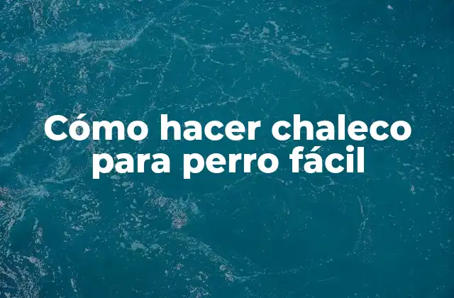 Cómo Hacer Chaleco para Perro Fácil
