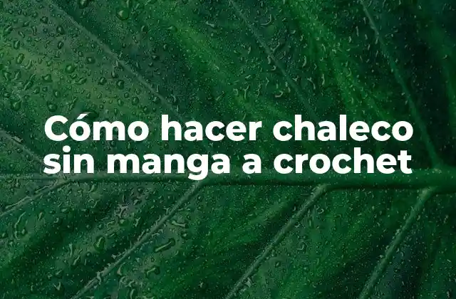 Cómo Hacer Chaleco sin Manga a Crochet