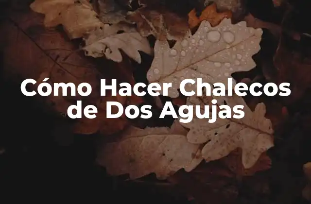 Cómo Hacer Chalecos de Dos Agujas