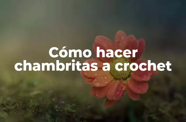 Cómo Hacer Chambritas a Crochet