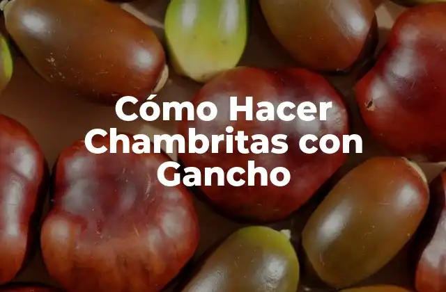 Cómo Hacer Chambritas con Gancho