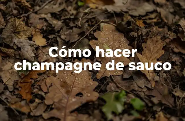 Cómo Hacer Champagne de Sauco