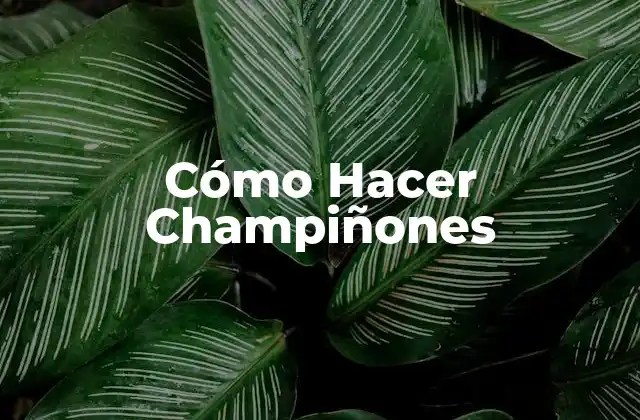 Cómo Hacer Champiñones 2 Cómo Hacer Champiñones