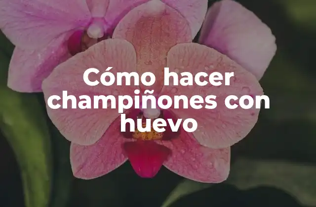 Cómo Hacer Champiñones con Huevo