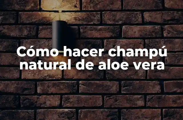 Cómo Hacer Champú Natural de Aloe Vera