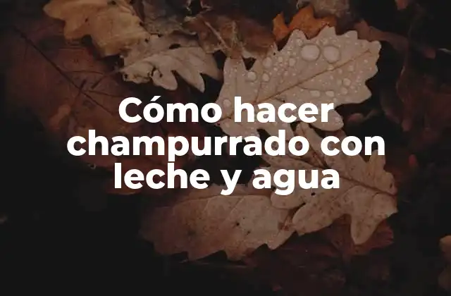 Cómo Hacer Champurrado con Leche y Agua