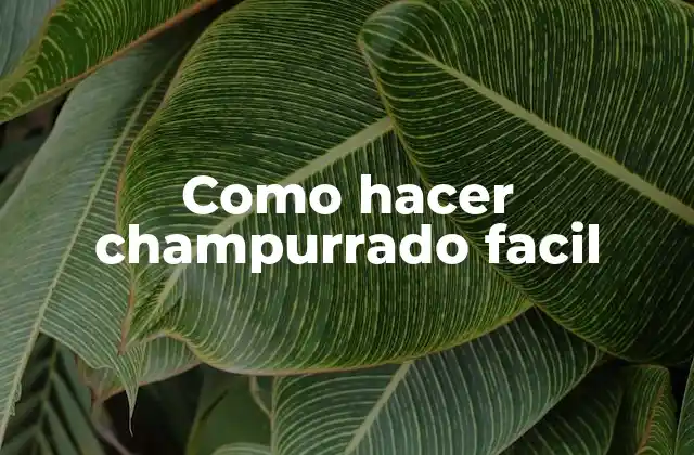 Como Hacer Champurrado Facil