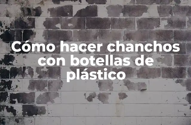 Cómo Hacer Chanchos con Botellas de Plástico