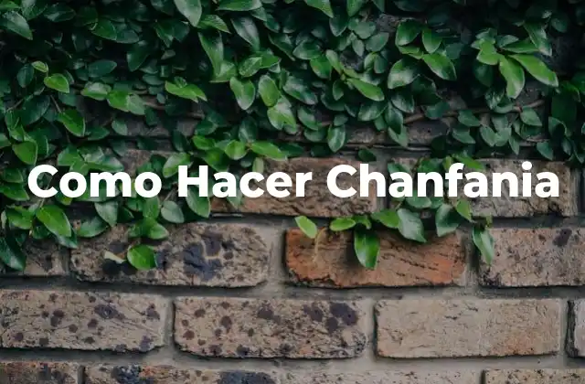 ¿Qué es la chanfania?