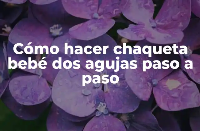 Cómo Hacer Chaqueta Bebé Dos Agujas Paso a Paso 2 La chaqueta bebé dos agujas, una prenda esencial para el clima frío
