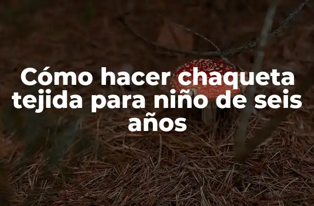 Cómo Hacer Chaqueta Tejida para Niño de Seis Años