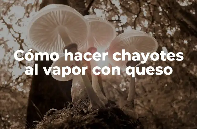 Cómo Hacer Chayotes Al Vapor con Queso
