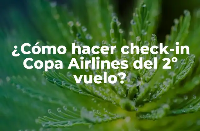 ¿Qué es el check-in online Copa Airlines y para qué sirve?