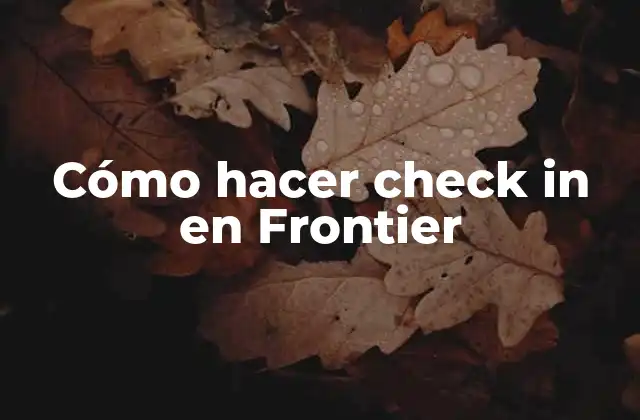 Cómo hacer check in en Frontier