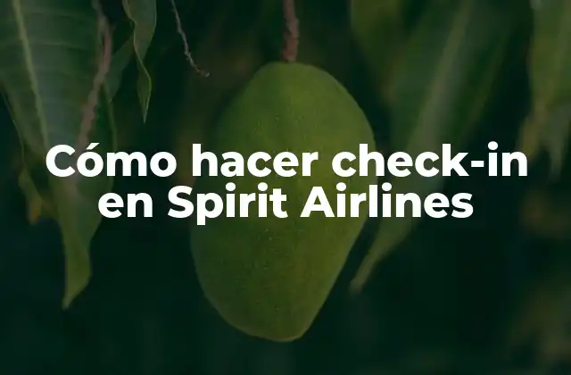 Cómo Hacer Check-in en Spirit Airlines