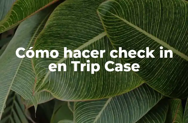 Cómo Hacer Check In en Trip Case